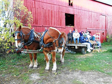 Hayride at John Curson's