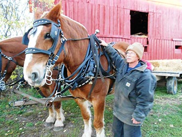 Hayride at John Curson's